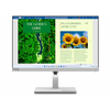 Monitor LENOVO L24m-40 23.8/IPS/1920x1080/4ms/100Hz/USB, HDMI/Swivel, Pivot, Height/zvučnici/siva
