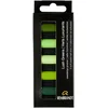 Rembrandt Soft Pastels Lush Greens Set 5 Pieces