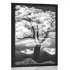 Plakat črnobelo drevo obdano z oblaki - 60x90 silver