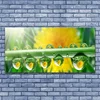 tulup.si Slika na akrilnem steklu Stem dew drops rastlin 140x70 cm 4 obešalnika