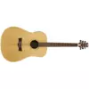 PEAVEY DW-3 akustična ozvučena gitara