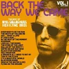 Noel Gallagher Back The Way We Came Vol. 1 (LP)