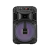 Prenosni aku. FM USB karaoke zvočnik Bluetooth LED RGB 10W Music Box