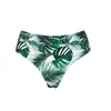 SugarShape Bikini hlačke Monaco turkizna/smaragd/bela