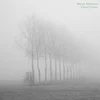 Marisa Anderson - Cloud Corner (Special Edition) (Foggy Coloured) (LP)