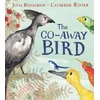 Go-Away Bird