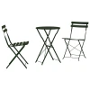 Sklopivi bistro set 3 pcs Šuma Čelik