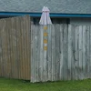 Good Looks - Lived Here For A While (Coloured) (LP)