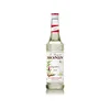 Monin Sirup Đumbir 0,7l