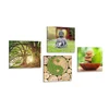 Komplet slik Feng Shui v zeleni izvedbi - 4x 60x60