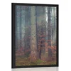 Plakat skrivnost gozda - 30x45 no frame