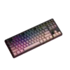 Dareu Tastatura, Šarena