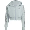 Adidas JG AN 3S FT FZ, dječija jakna, plava C8819
