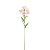 Ljiljan peruanski veštački pink 62cm dsy12