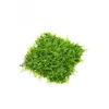 EMERALD Zidna dekoracija Zeleni zid 3D Juniperus, 50x50cm