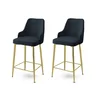Hanah Home Set 2 barske stolice Antracit-Zlatni