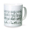 DP SKODELICA BEETHOVEN