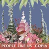 People Like Us - Copia (Limited Edition) (LP)
