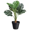 Veštačka Biljka Splitphilodendron