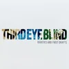 Third Eye Blind - Rarities And First Drafts (Limited Edition) (Emerald Translucent Coloured) (LP)