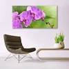 tulup.si Slika na akrilnem steklu Orhideja orhideje 140x70 cm 4 obešalnika