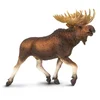 Safari Mokrinski los XL