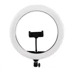 RING FILL LIGHT 12INCH LC330