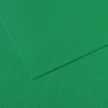 Canson Mi-Teintes A4 Vert Billard 575 160 g Barvni papirji