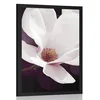 Plakat cvet magnolije na abstraktnem ozadju - 60x90 white
