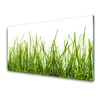 tulup.si Slika na steklu Grass nature rastlin 140x70 cm 2 obešalnika