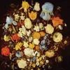 Young Moon - Navigated Like The Swans (LP)