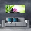 tulup.si Slika na akrilnem steklu Bamboo listi graphics 125x50 cm 4 obešalnika