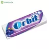 ZVAKA ORBIT BLUEBERRY 30/1 WRIGLEY NELT