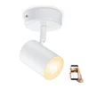 WIZ IMAGEO REFLEKTOR 1X5W BIJELI 27-65K TW