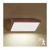 Brilagi-LED Spoljno zidno svetlo sa senzorom TRIANGLE LED/20W/230V braon IP65
