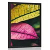 Plakat sveži listi - 60x90 no frame
