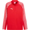 Puma Majica z dolgimi rokavi teamLIGA26 Training 1/4 Zip Top