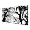 tulup.si Slika na platnu Drevesa narava black and white 140x70 cm