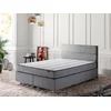 Hanah Home Bračni krevet sa prostorom za odlaganje Silver 160x38x200cm Crni