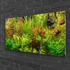 tulup.si Slika na steklu Aquarium fish rastline 100x50 cm 2 obešalnika