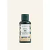 Shea Shampoo NEW 60 ML