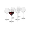 Komplet kozarcev za vino Eva Solo Legio Nova 450 ml 6-pack
