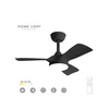 HOME LIGHT FD220 Bryce Plafonski ventilator crni