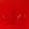 Panda Lux - Herz (LP)