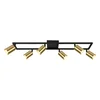 Plafonska lampa FG153-6 BK+SG