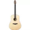 SEAGULL MARITIME SWS NATURAL SG A/E | ELEKTRO AKUSTIČNA GITARA