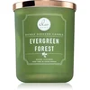 DW Home Signature Evergreen Forest scented candle 445 g