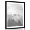 Plakat s paspartujem megla nad gozdom v črnobeli varianti - 30x45 white