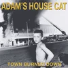 Adams House Cat - Town Burned Down (Translucent Yellow Coloured) (LP)