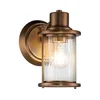 Quoizel QZ-RIGGS1-BATH-WS-Kupatilsko zidno svetlo RIGGS 1xE27/40W/230V IP44